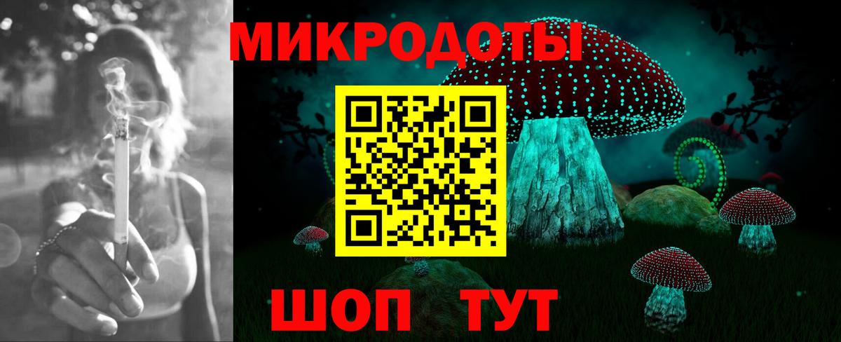 Псилоцибиновые грибы Psilocybe Вичуга