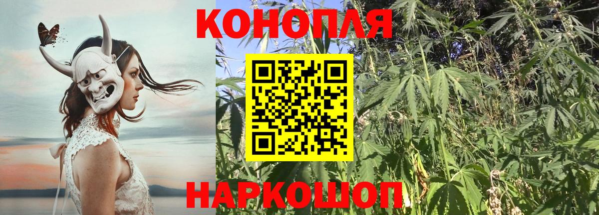 Каннабис OG Kush Вичуга